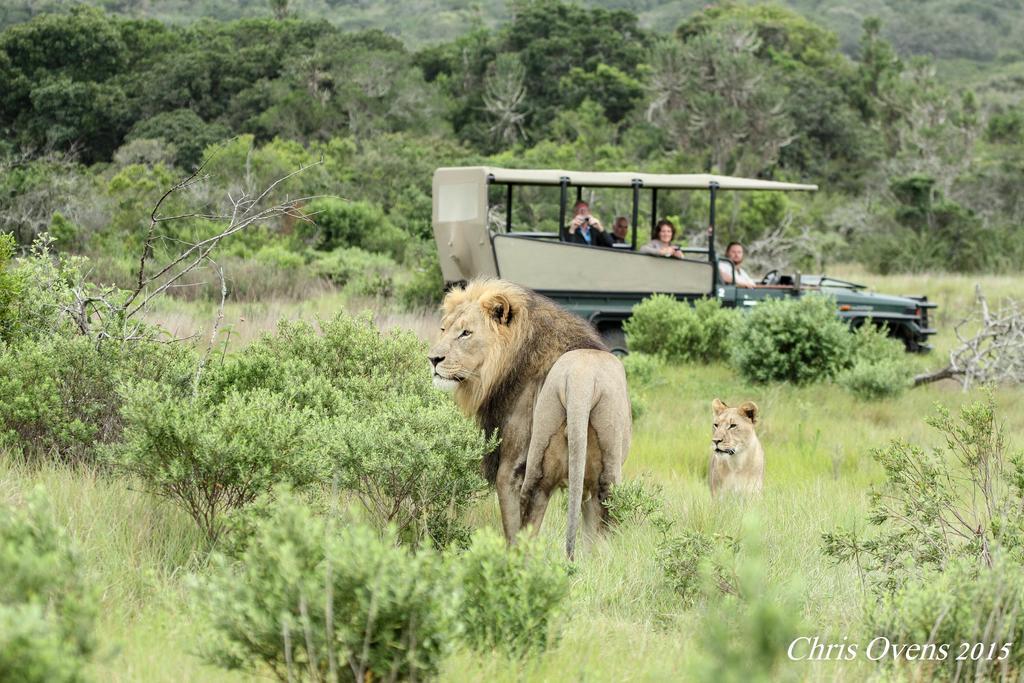 Sibuya Game Reserve And Lodge 켄톤 온 씨 외부 사진